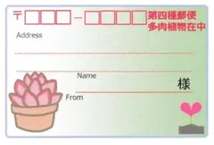宛名シール 48枚 大きめサイズ 第四種郵便