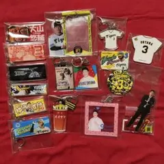 阪神タイガース　大山選手16点セット