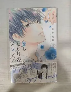愛したがりのメゾン 漫画 3巻