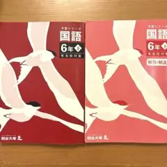⭐️四谷大塚 予習シリーズ 国語 ６年下 有名校対策