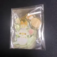 【ポケモンカード】ヒバニー&エッグ　アクリルキーホルダー　新品未開封