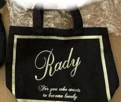 ちびRady ショルダー マスクケース トートバッグ