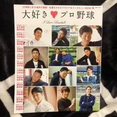 大好き・プロ野球