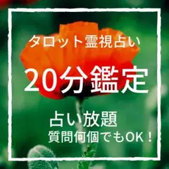 【今すぐ鑑定OK】20分鑑定orじっくり深掘り鑑定！タロット霊視鑑定
