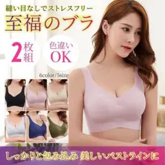 至福のブラ＊ナイトブラ＊シームレス＊２枚組
