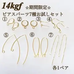 Item thumbnail for item 65940544-ae95-499b-9b10-6c4318fd03f9