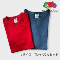 FRUIT OF THE LOOM(フルーツオブザルーム) Tシャツ2枚 L