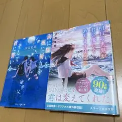 汐見夏江2冊セット　海に願いを