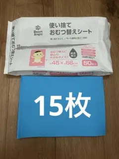 Item thumbnail for item 4ee45dc5-25fb-4c89-aa16-f3c79f2b21e2