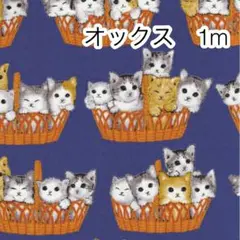 ラスト2点 1m かご猫 ネイビー オックス