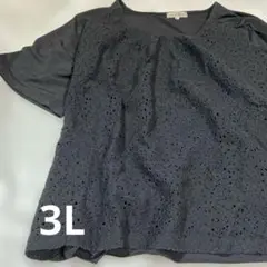 REALIZED 黒 レース 半袖トップス 3L