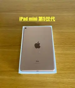 iPad第5世代（Mini）電池最良好 iPad本体