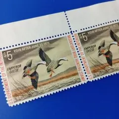 Item thumbnail for item 23316332-c72f-4ae6-af9c-07a89730ff1c