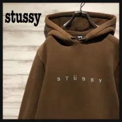 【希少カラー】ステューシー☆ビック刺繍ロゴ 人気デザイン パーカー 入手困難