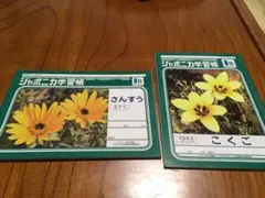 ジャポニカ学習帳　2冊セット