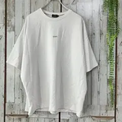 ☆ルーシー LUCY☆オーバーサイズ Tシャツ M ライトグレー 半袖 刺繍