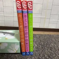 キミと恋の途中 1〜3巻 / 恋愛漫画 / 値下げ交渉可能