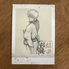 銀魂展　ぱしゃこれ　銀時③