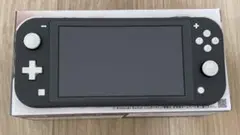 洸海様用Nintendo Switch NINTENDO SWITCHLITE