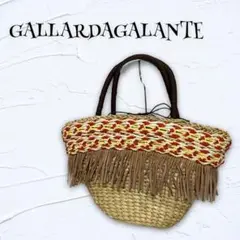 【GALLARDAGALANTE】カゴバッグ ハンドバッグ 個性的 レディース