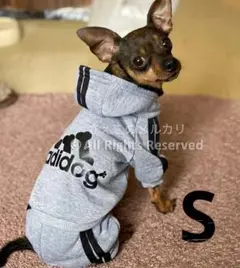 Item thumbnail for item d1706f33-247c-4cbf-a2ae-840e71b3ac41