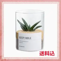 【送料込】多肉植物鉢 フラワーポット サボテン鉢 プランター容器