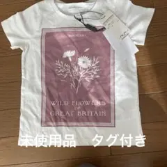 2025年最新】BURBERRY 柄・デザイン：花柄 Tシャツの人気