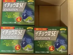 イチョウ葉SE 健康バランス飲料