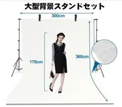Item thumbnail for item 1435545a-5ad1-4dce-a14d-cd7ac815eac5