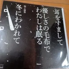 LP 寺尾紗穂 しゅー・しゃいん 1stプレス 新品未開封 Amazon.co.jp: しゅー・しゃいん: ミュージック