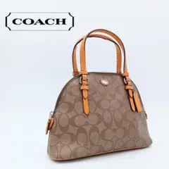 COACH ハンドバッグ シグネチャー 2WAY ショルダーバッグ F32584