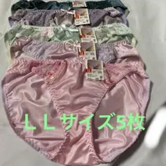 LLサイズ 下着レディース　アンダーウェア　トリコットショーツ5枚セット
