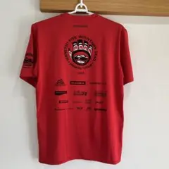美品 Patagonia 信越五岳 2017 Tシャツ M