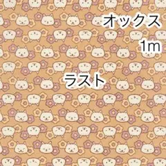 Item thumbnail for item 1fe26af3-2f55-4275-9e9b-1c6d502c88ce