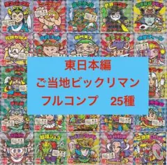 【フルコンプ】 東日本編　ご当地ビックリマン　25種