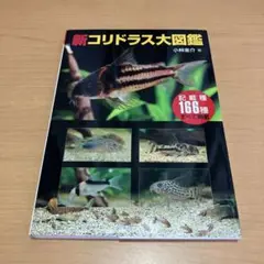 コリドラス大図鑑　他3点セットの合計4冊 コリドラス大図鑑 | 小林 圭介 |本 | 通販 | Amazon