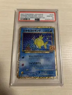 m64913600993_1.jpg?1751608724