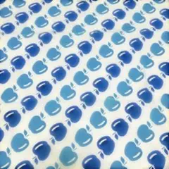 生地　アップル　りんご