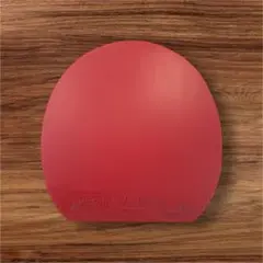 卓球　V>15 Extra VICTAS 使用済み