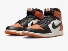 Nike Air Jordan 1 Shattered Backboard 23