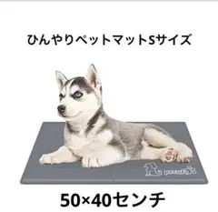 Item thumbnail for item 59020f16-cbc4-42e4-b509-24add0b0d9f5