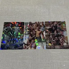 RIZIN ポテトスティック ポスターカードコレクション