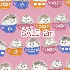 ラスト SALE 2m ハリネズミ ピンク オックス
