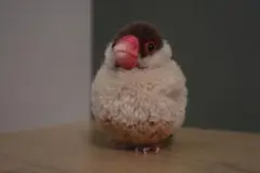シナモン文鳥【毛糸ぽんぽん】