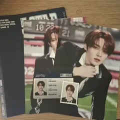 StrayKids リノ プロフィールセット