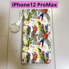 Hanman iPhone12 ProMax ケース 手帳型 オウム