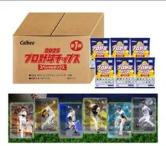 【新品】プロ野球チップス スペシャルボックス 第1弾　カード80枚付き