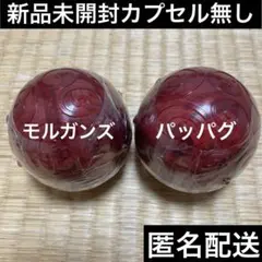 ワンピの実　モルガンズ、パッパグ未開封