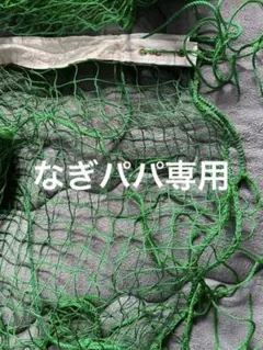 インディアカ ネット