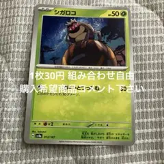 シガロコ　在庫1